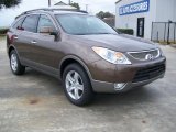2011 Sahara Bronze Metallic Hyundai Veracruz Limited #45394906