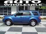 2010 Sport Blue Metallic Ford Escape XLT #45450100