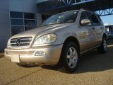 2002 Mercedes-Benz ML 500 4Matic