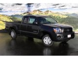 2011 Magnetic Gray Metallic Toyota Tacoma Access Cab #45496286