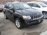 2011 Jeep Compass Blackberry Pearl