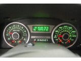 2006 Ford Expedition Limited Gauges