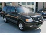 2004 Ford Expedition Black