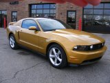 Sunset Gold Metallic Ford Mustang in 2010