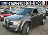 2010 Sterling Grey Metallic Ford Escape XLT V6 4WD #45448517