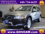 2007 Willow Green Metallic Volvo XC70 AWD Cross Country #45496158