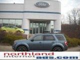 2011 Steel Blue Metallic Ford Escape XLT Sport V6 4WD #45448881
