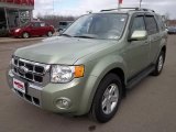 2008 Kiwi Green Metallic Ford Escape Hybrid #45561265