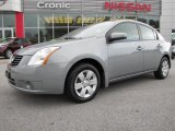 2009 Magnetic Gray Nissan Sentra 2.0 S #45497617