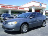 2006 Storm Gray Saturn ION 2 Sedan #4560895