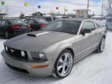2008 Vapor Silver Metallic Ford Mustang GT Deluxe Coupe #45691134