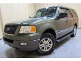 2003 Estate Green Metallic Ford Expedition XLT 4x4 #45690778