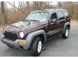 2004 Deep Molten Red Pearl Jeep Liberty Sport 4x4 #45769951