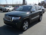 2011 Natural Green Pearl Jeep Grand Cherokee Limited 4x4 #45691125