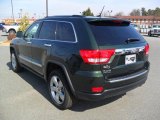 Natural Green Pearl Jeep Grand Cherokee in 2011