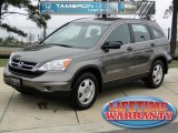 2010 Urban Titanium Metallic Honda CR-V LX #45770874