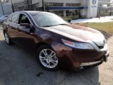2010 Basque Red Pearl Acura TL 3.5 #45876461