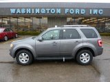 2010 Sterling Grey Metallic Ford Escape Limited V6 4WD #45876741