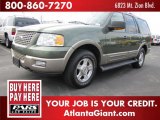 2003 Estate Green Metallic Ford Expedition Eddie Bauer 4x4 #45877140