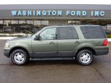 2004 Estate Green Metallic Ford Expedition XLT 4x4 #45955265