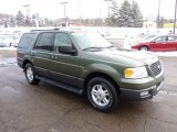 2004 Ford Expedition Estate Green Metallic