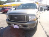 2003 Mineral Grey Metallic Ford Excursion Limited #45955429