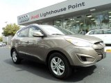 2010 Chai Bronze Hyundai Tucson Limited #45955623