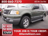 2003 Estate Green Metallic Ford Expedition XLT #46038819