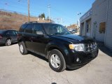 2010 Black Ford Escape XLT 4WD #46069919