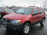 2006 Redfire Metallic Ford Escape XLT V6 4WD #46092161