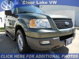 2003 Estate Green Metallic Ford Expedition XLT #46092367