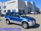 2007 Vista Blue Metallic Ford Escape XLT V6 4WD #46069491