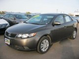 2010 Kia Forte EX