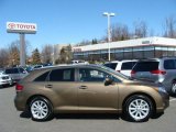 2010 Golden Umber Mica Toyota Venza AWD #46183497