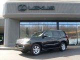 2010 Lexus GX 460