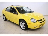 2004 Solar Yellow Dodge Neon R/T #46244570