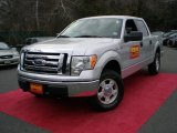 2010 Ingot Silver Metallic Ford F150 XLT SuperCrew 4x4 #46244093