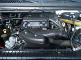2006 Ford F250 Super Duty XL Regular Cab 4x4 5.4 Liter SOHC 24V VVT Triton V8 Engine