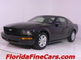 2006 Black Ford Mustang V6 Deluxe Coupe #441206