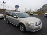 2009 Smokestone Metallic Ford Taurus Limited #46244017