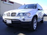 2003 Titanium Silver Metallic BMW X5 4.4i #4621941