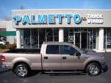 2006 Arizona Beige Metallic Ford F150 XLT SuperCrew #46244249