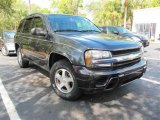 2006 Dark Gray Metallic Chevrolet TrailBlazer LS #46317988