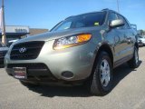 2008 Hyundai Santa Fe GLS