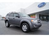 2009 Sterling Grey Metallic Ford Escape XLT V6 #46318080