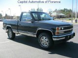 1989 Sable Black Chevrolet C/K K1500 Scottsdale Regular Cab 4x4 #46337442