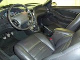 2004 Ford Mustang GT Convertible Dark Charcoal Interior
