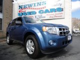 2010 Sport Blue Metallic Ford Escape XLT #46345368