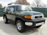 2011 Army Green Toyota FJ Cruiser TRD 4WD #46397336