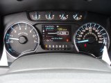 2011 Ford F150 Texas Edition SuperCrew 4x4 Gauges